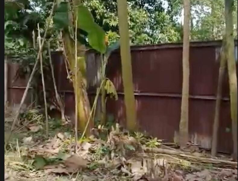 Potensi Investasi yang Menguntungkan?